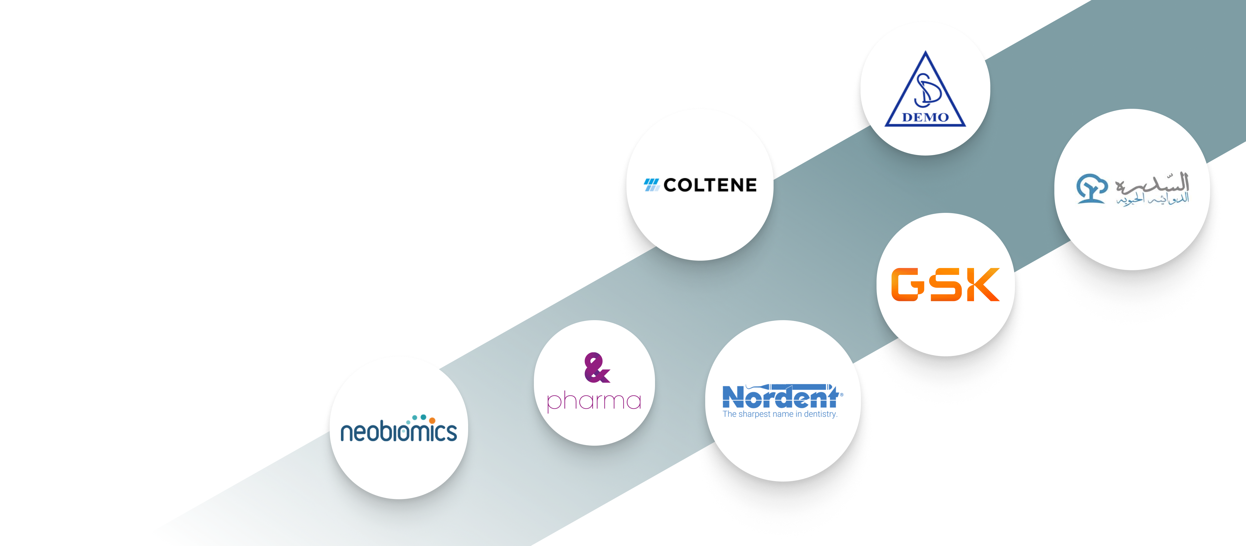 partners
