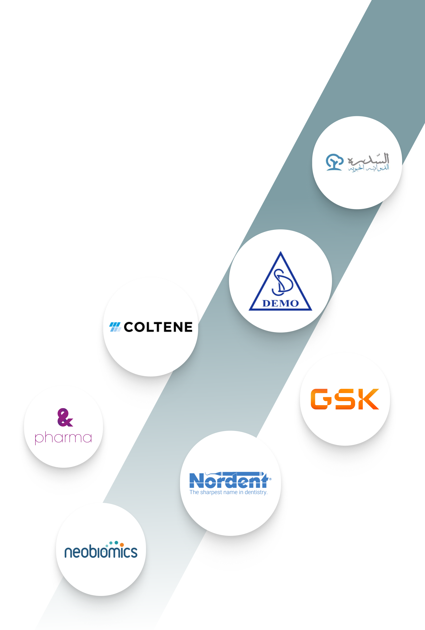 partners
